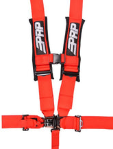 5.3Harness_Red-456x600__89070.jpg