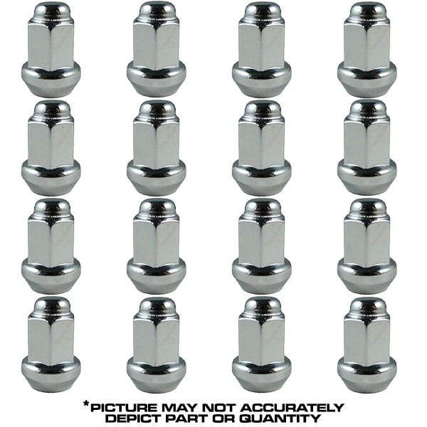 1A._Lugs__44806.jpg