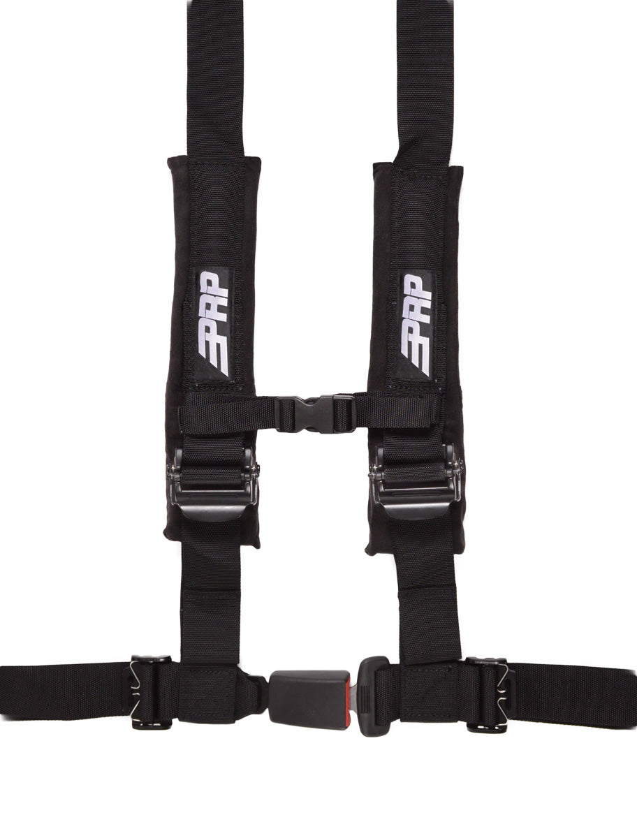 4.2Harness2__75896.jpg