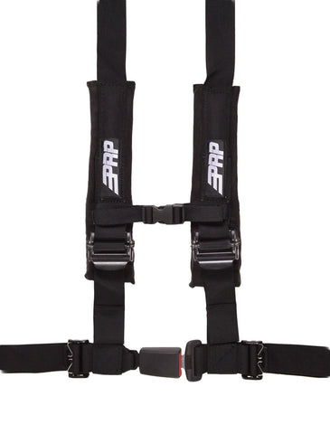4.2Harness2__75896.jpg