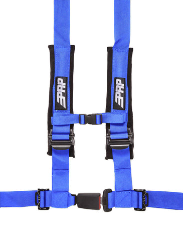 4.2Harness_blue_web__85048.jpg
