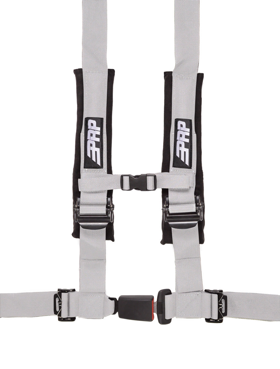 4.2Harness_silver_web__95214.jpg