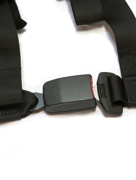 4.2Latch-456x600__33994.jpg