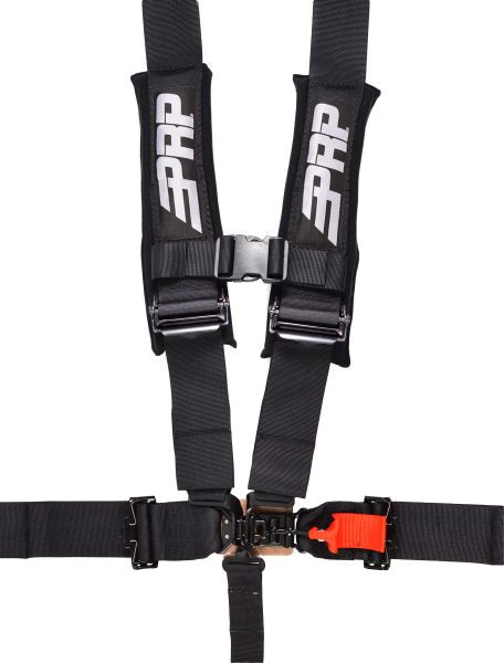 5.3Harness_Black-456x600__62748.jpg