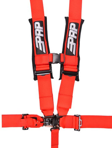 5.3Harness_Red-456x600__89070.jpg
