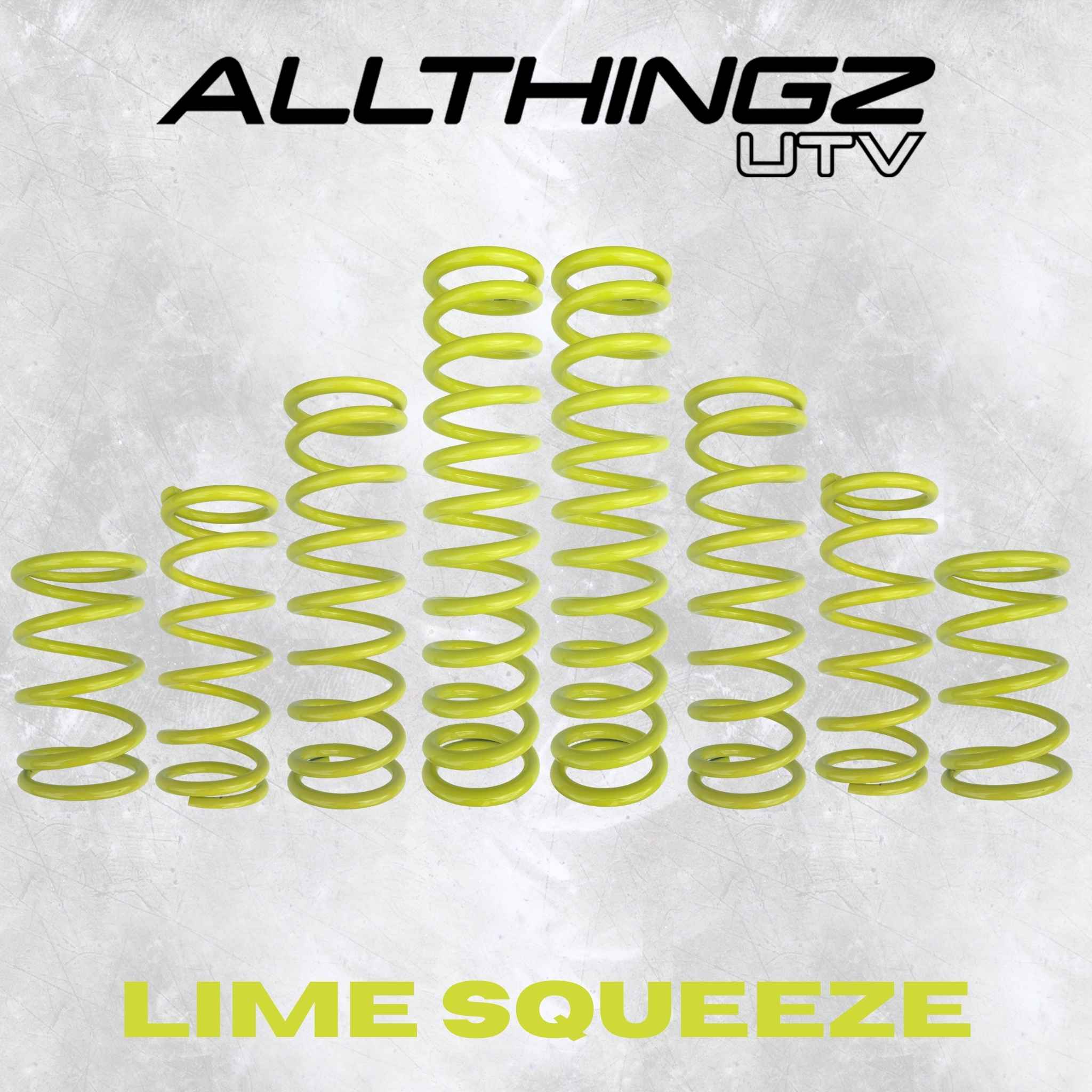 Polaris RZR Pro XP 2 Seater Dual Rate Spring Kit