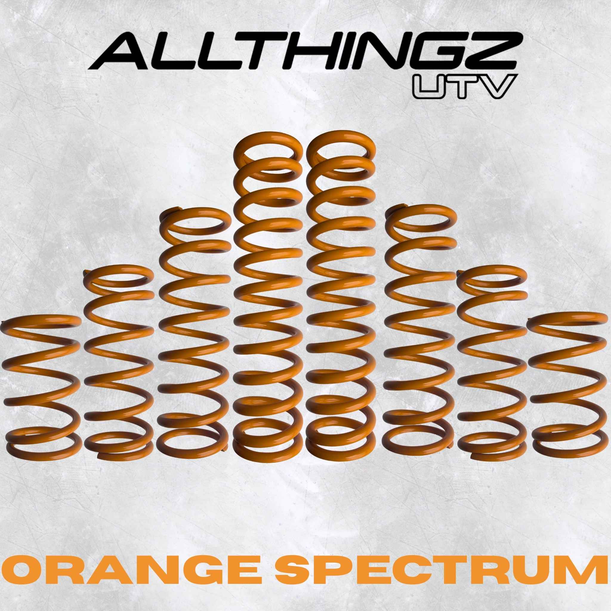 Polaris RZR XP S 4 Seater Dual Rate Spring Kit